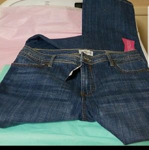 LANE BRYANT VENEZIA JEANS
